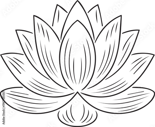 Simple lotus flower outline with curved lines representing purity and enlightenment in a minimalist botanical sketch for wellness projects