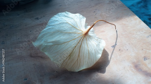 明るい光の下で木のテーブルの上に置かれた乾燥した葉