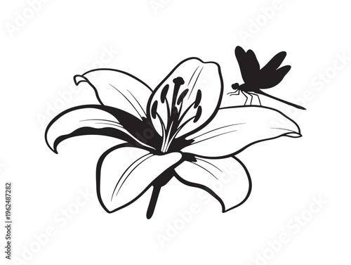 Beautiful lily flower with dragonfly silhouette creating peaceful natural scene 