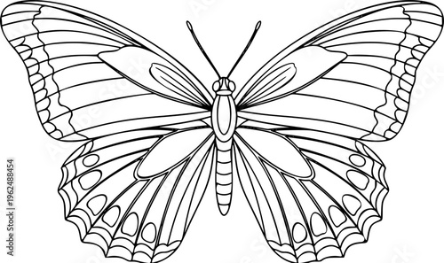 Beautiful Butterfly Vector Outline Nature Insect Illustration for Kids Coloring Book Page
