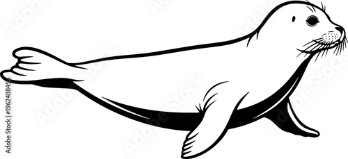 harbor seal line art silhouette vector illustration
