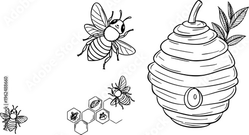 Cute Bee and Honeycomb Vector Outline Insect Illustration for Children Coloring Book Design

