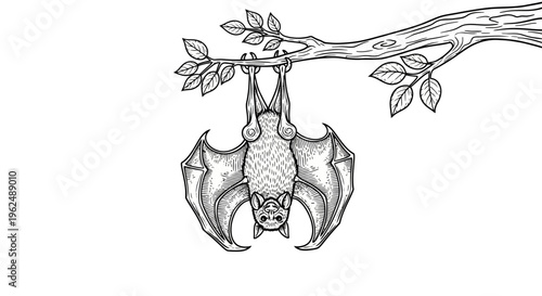 Bat Hanging Upside Down From Tree.