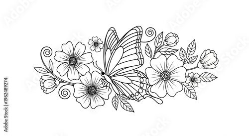 Butterfly Insect Winged Animal Black.