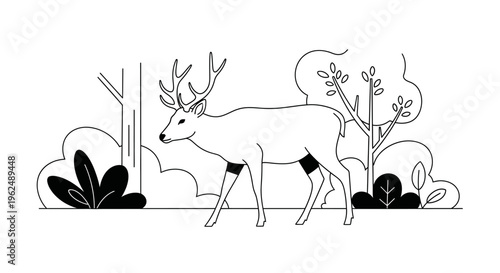 Deer with large antlers walking slowly.