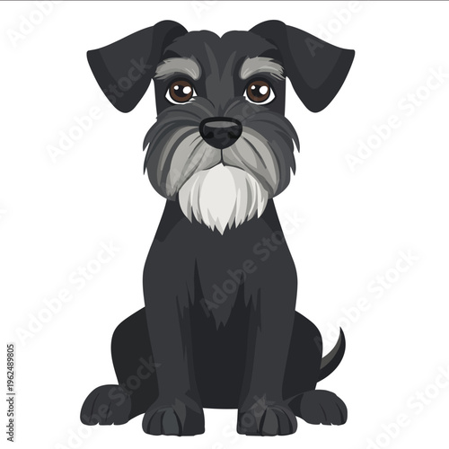 simple vector Standard Schnauzer clipart illustration white background vector art style simple design flat illustration no shadows