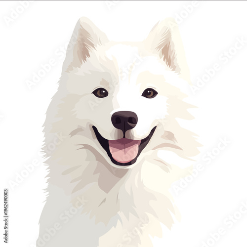 simple vector Samoyed clipart illustration white background vector art style simple design flat illustration no shadows