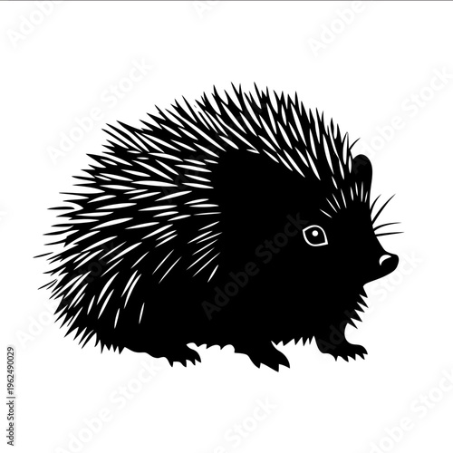 black silhouette hedgehog on a white backgrounk vector