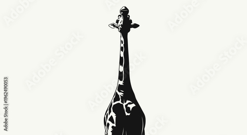 Giraffe Looking Up Isolated Silhouette Animal.