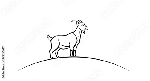 Goat standing on a hill side.