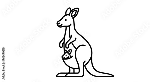 Mother kangaroo with joey in pouch.