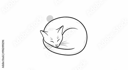 Sleeping white cat curled up tight.