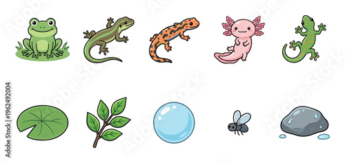 Vibrant cartoon illustrations of various amphibians, reptiles, and natural elements including a frog, lizard, newt, axolotl, gecko, lily pad, branch, bubble, fly, and rock.