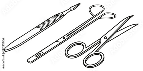 Three different types of scissors and a pair of tweezers on a white background