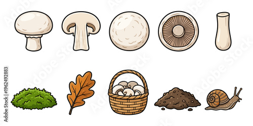 Various cartoon mushroom and forest elements collection illustration featuring fungi, plants, and a snail, perfect for autumn or nature-themed designs.