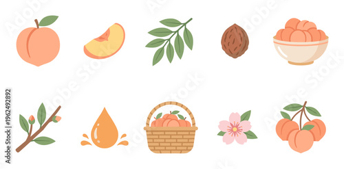 Peach fruit elements collection with various stages of growth, from blossom to ripe fruit, juice, and seed, presented in a charming flat vector style.