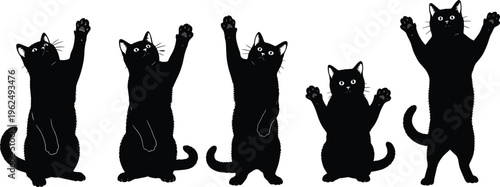 Black cats in different poses with paws raised animals feline silhouette