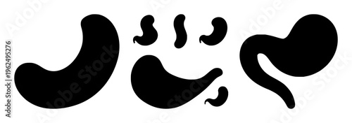 Stomach silhouette set with a single black outline line showing abdominal region, featuring anatomy, medical illustration, body with simple design and minimalist