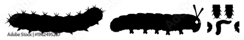 Caterpillar silhouette set with dramatic backlight and linear design featuring insect, wildlife, biology with black and white and line art