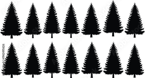 Pine tree silhouettes collection, evergreen conifer trees set, black forest nature tree icons isolated for landscape and design