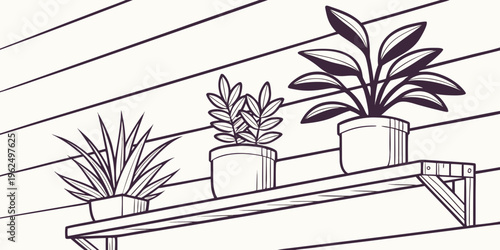 Three potted plants on a wooden shelf against a wall