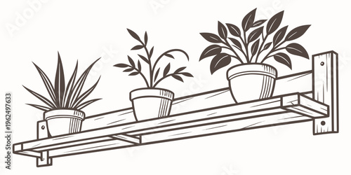 A wooden shelf holding three potted plants with various green leaves and flowers.