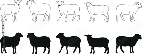 Line and silhouettes of sheep in various poses line silhouettes animals farm animals livestock
