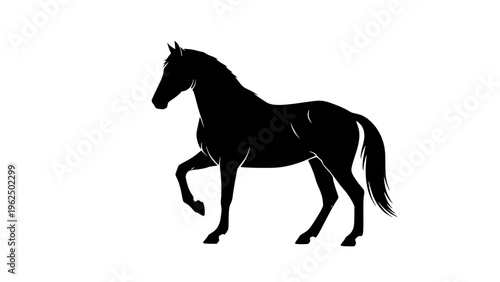 Horse silhouette on white background. Flat vector illustration for logo or other design. Transparent background SVG version.