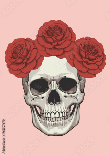 Human skull adorned with red roses on a pink background