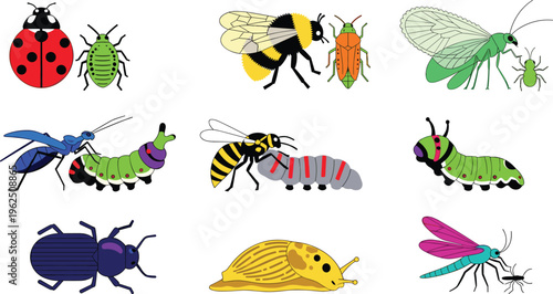 Garden Insect and Pest Vector Icon Set featuring Ladybug, Bee, Caterpillar, Wasp, Beetle, and Slug for Educational Science Materials and Nature Gardening Designs.