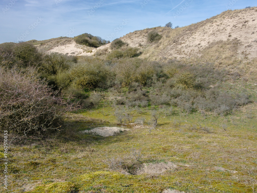Fototapeta premium Nature reserve