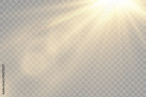 Vector transparent sunlight with lens flare effect. Overlays, overlay, light, Sun, sunrays, overlays, light transitions, lens flare, light leaks and glare in PNG format. PNG sunlight flare light 