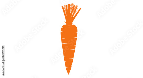 A bright orange carrot with green leafy top against a white background vegetable healthy food