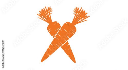 Two orange carrots crossed over each other with green tops carrot vegetable healthy food root