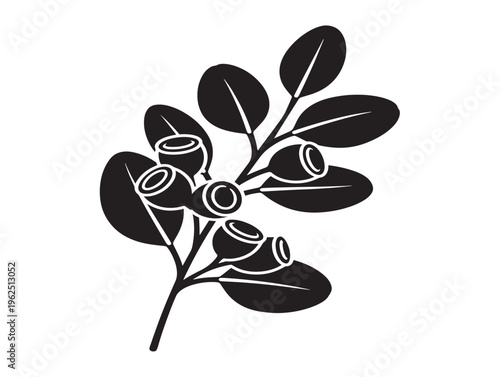 Elegant eucalyptus branch silhouette with clean botanical composition 