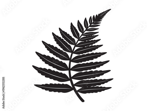 Detailed fern frond silhouette with natural organic texture 