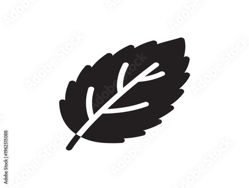 Vibrant mint leaf silhouette with clean natural design 