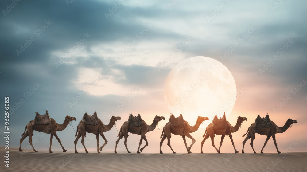 Fototapeta premium Desert caravan of camels walking in silhouette with saddles across sand dunes at dusk, large moon creating warm glow