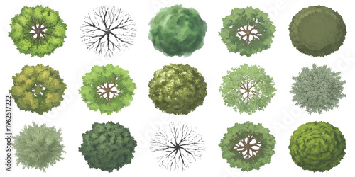 Set of textured watercolor top view trees and bare branches for landscape plans