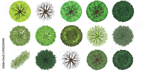 Detailed top view green trees and bare branches for architectural landscape map rendering