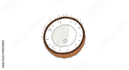A single perfectly halved coconut with visible white flesh and brown fibrous husk is positioned against a clean white background.