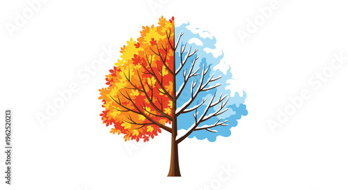 A single tree is depicted with one half showing autumn foliage and the other half covered in winter snow on a white background.