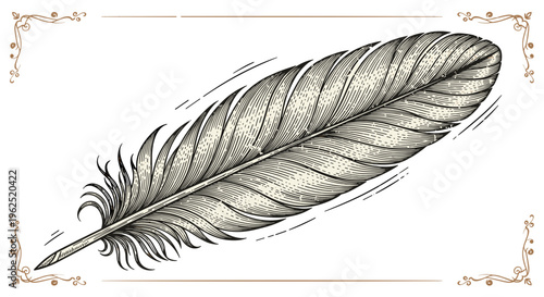 Detailed ink sketch of a single quill feather with intricate details