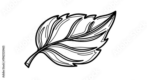 Stylized botanical leaf illustration with detailed veins and serrated edges