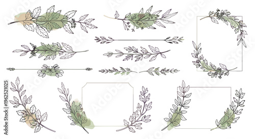 Elegant watercolor botanical elements for decorative design and artistic projects