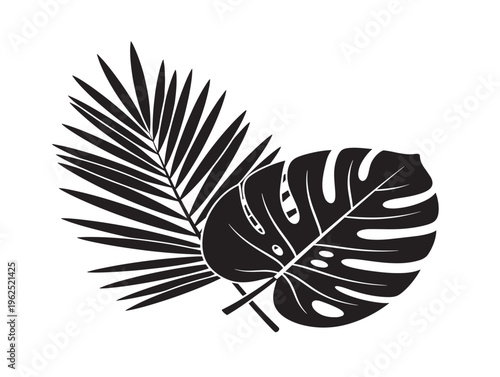 Palm and monstera combination modern tropical plant silhouette illustration 