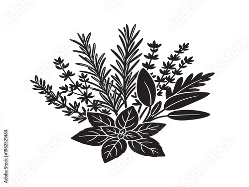 Herb bouquet natural organic arrangement detailed silhouette illustration 