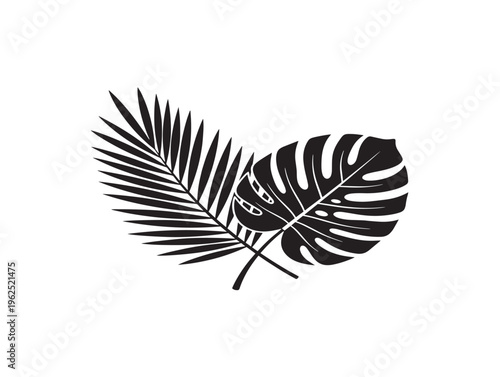 Palm and monstera combination stylish exotic foliage silhouette artwork 