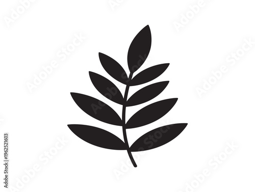 Leaf spray elegant natural foliage silhouette with soft composition 