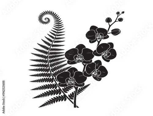 Fern and orchid combination exotic botanical silhouette artistic composition 